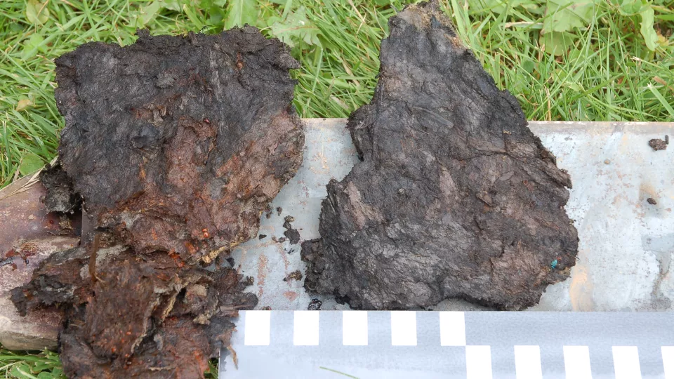 Eemian peat from southern Sweden, rich in macroscopic vegetation remains