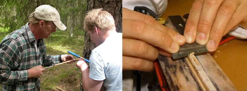 Sampling of a pine with a manual increment corer (left).  Preparation of a core sample (right).