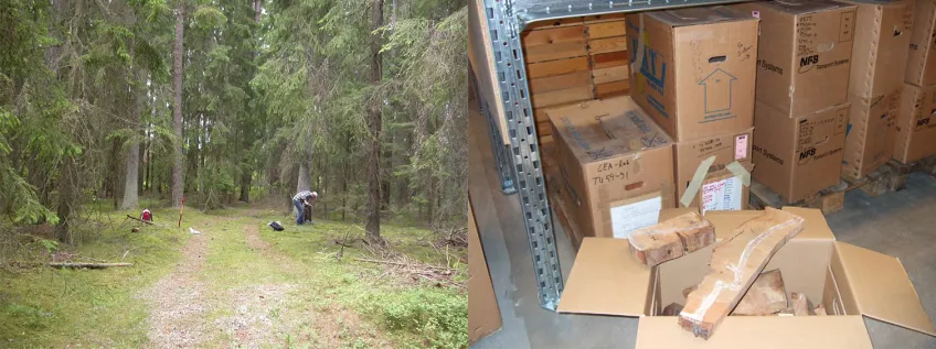 Sampling in a mature coniferous forest in southern Sweden (left). All samples submitted for analysis are archived (right). 